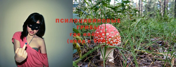 марки nbome Козельск