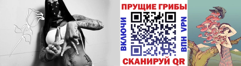 Псилоцибиновые грибы Psilocybe  где продают наркотики  Лангепас 